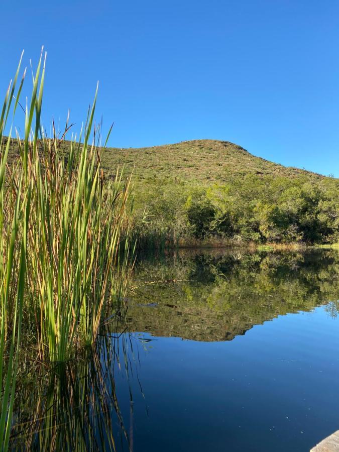 The Retreat At Groenfontein Calitzdorp Buitenkant foto