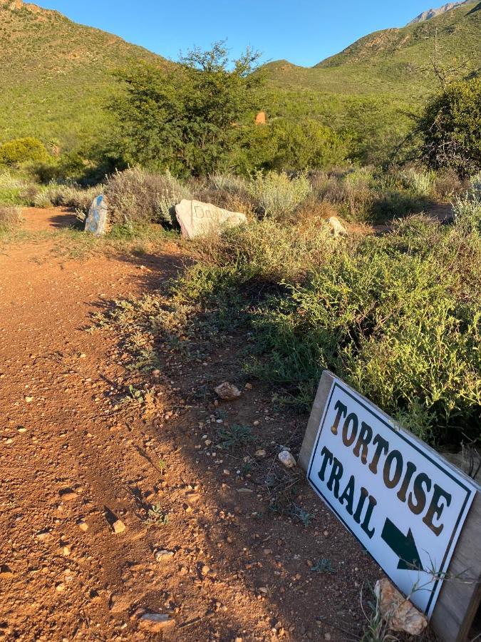 The Retreat At Groenfontein Calitzdorp Buitenkant foto