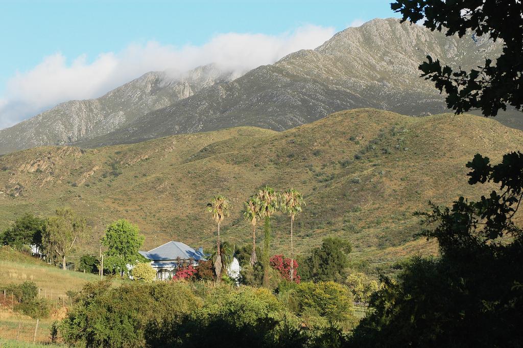 The Retreat At Groenfontein Calitzdorp Buitenkant foto