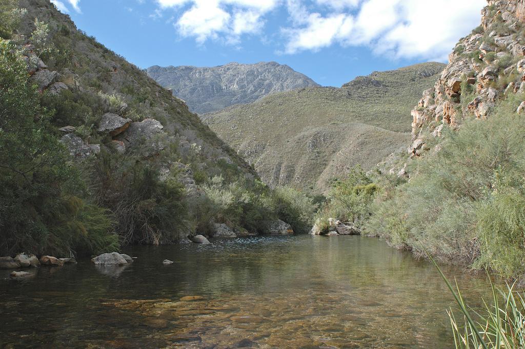 The Retreat At Groenfontein Calitzdorp Buitenkant foto