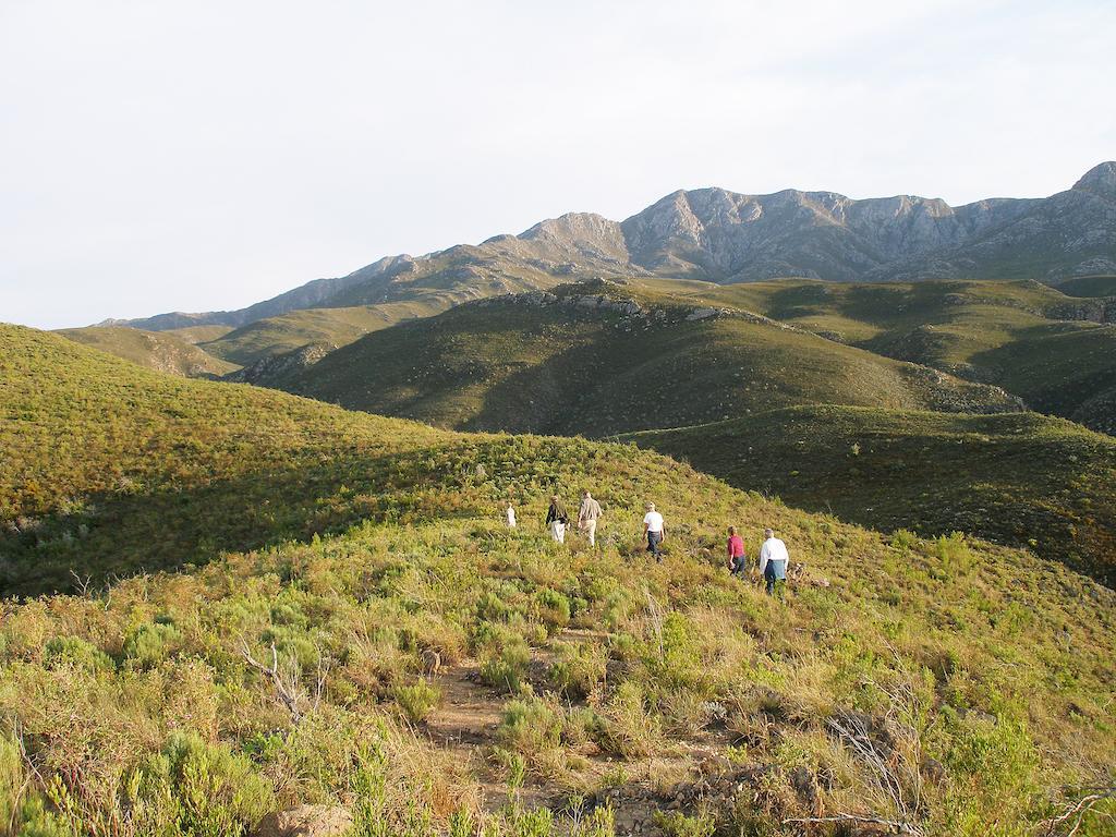 The Retreat At Groenfontein Calitzdorp Buitenkant foto